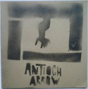 The Lady Is A Cat cover