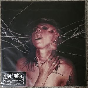 A Call To The Void cover