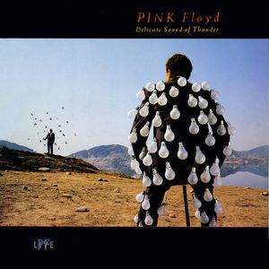 Delicate Sound Of Thunder by Pink Floyd