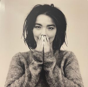 Björk – Debut