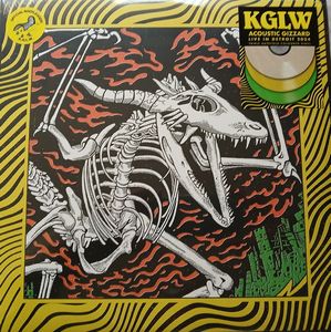 Acoustic Gizzard Live In Detroit 2024 cover