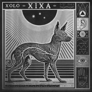Xolo cover