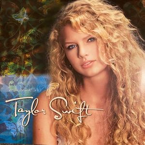 Taylor Swift cover