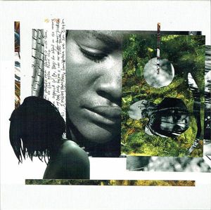 Chronic Sunshine cover