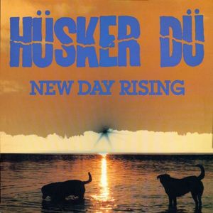 New Day Rising cover