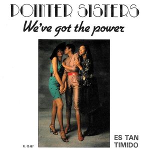 We've Got The Power / Es Tan Timido cover