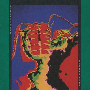 Genghis Tron – Signal Fire