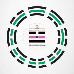 Lost In The Jungle / Found In The Desert cover