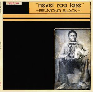 Never Too Late cover