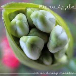 Fiona Apple – Extraordinary Machine
