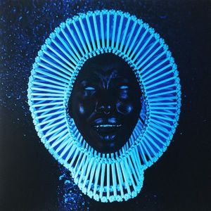 Awaken, My Love! cover
