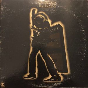 Electric Warrior cover