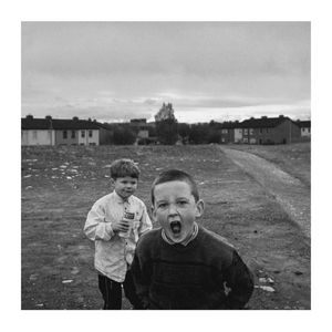 THE GREEN BOX THEORY cover