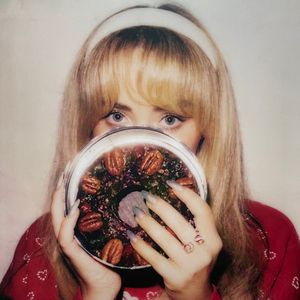 Fruitcake cover
