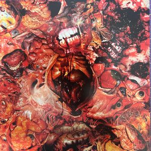 From Demo To Rot cover