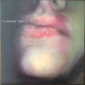 Dry cover