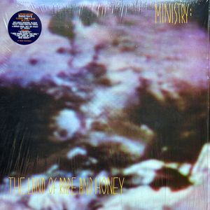 The Land Of Rape And Honey by Ministry