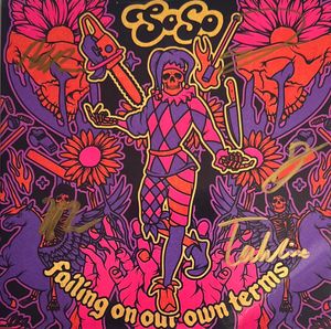 Falling On Our Own Terms cover