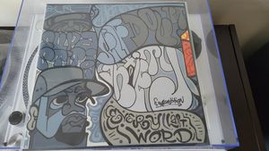 Every Last Word cover