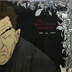 Amore Del Tropico cover