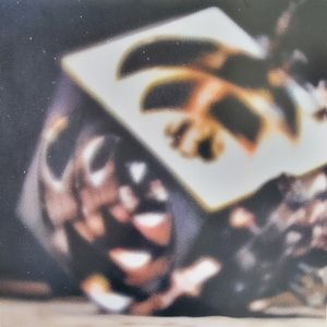 The Dissolving Door cover