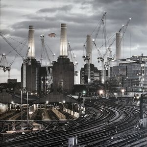 Animals (2018 Remix) cover