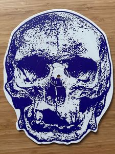 Skull Sessions cover