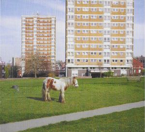 Westside Cowboy – It Goes On