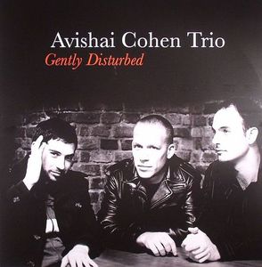 Gently Disturbed cover