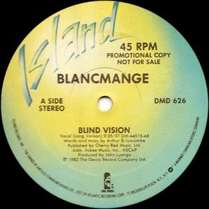 Blind Vision cover