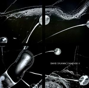 David Sylvian – Camphor II