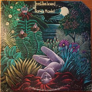 Feel The Sound Of Harvey Mandel cover