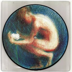 The Lotus Eaters – The First Picture Of You