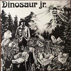 Dinosaur cover