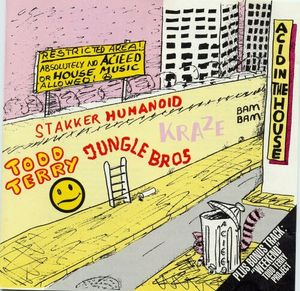 Acid In The House by Various