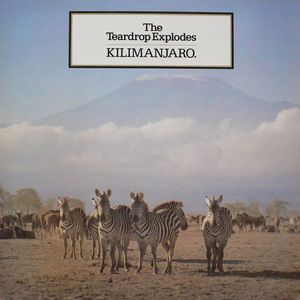 Kilimanjaro cover