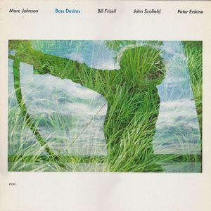 Bass Desires by Marc Johnson