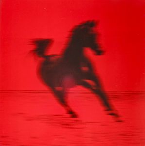 Buck by Red Rum Club