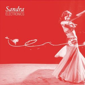 Sandra Electronics – Want Need