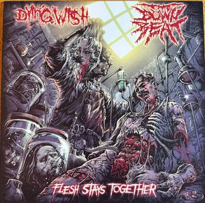 Flesh Stays Together cover