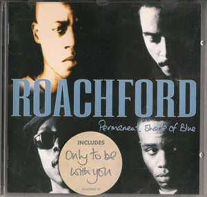 Permanent Shade Of Blue cover