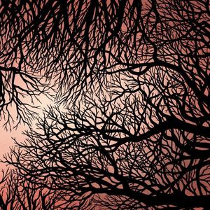 Wacław Zimpel  /  Jakub Ziołek –  Zimpel​ /​ Ziołek 