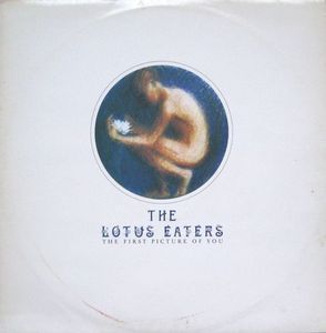 The Lotus Eaters – The First Picture Of You