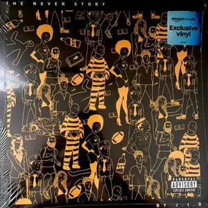 The Never Story cover