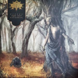 Fires In The Distance – Echoes From Deep November