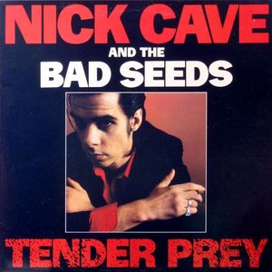 Tender Prey cover