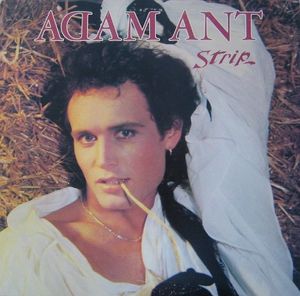 Strip cover