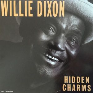Hidden Charms cover