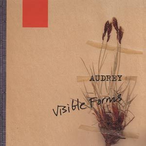 Visible Forms cover