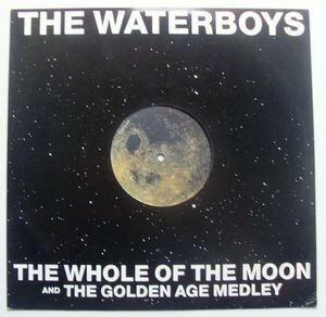 The Waterboys – The Whole Of The Moon